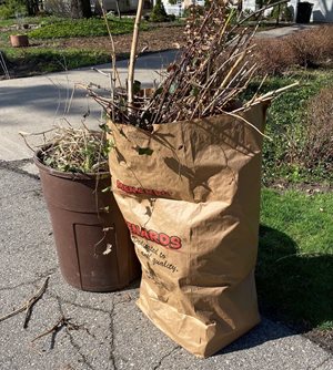 Branch & Yard Waste Pickup