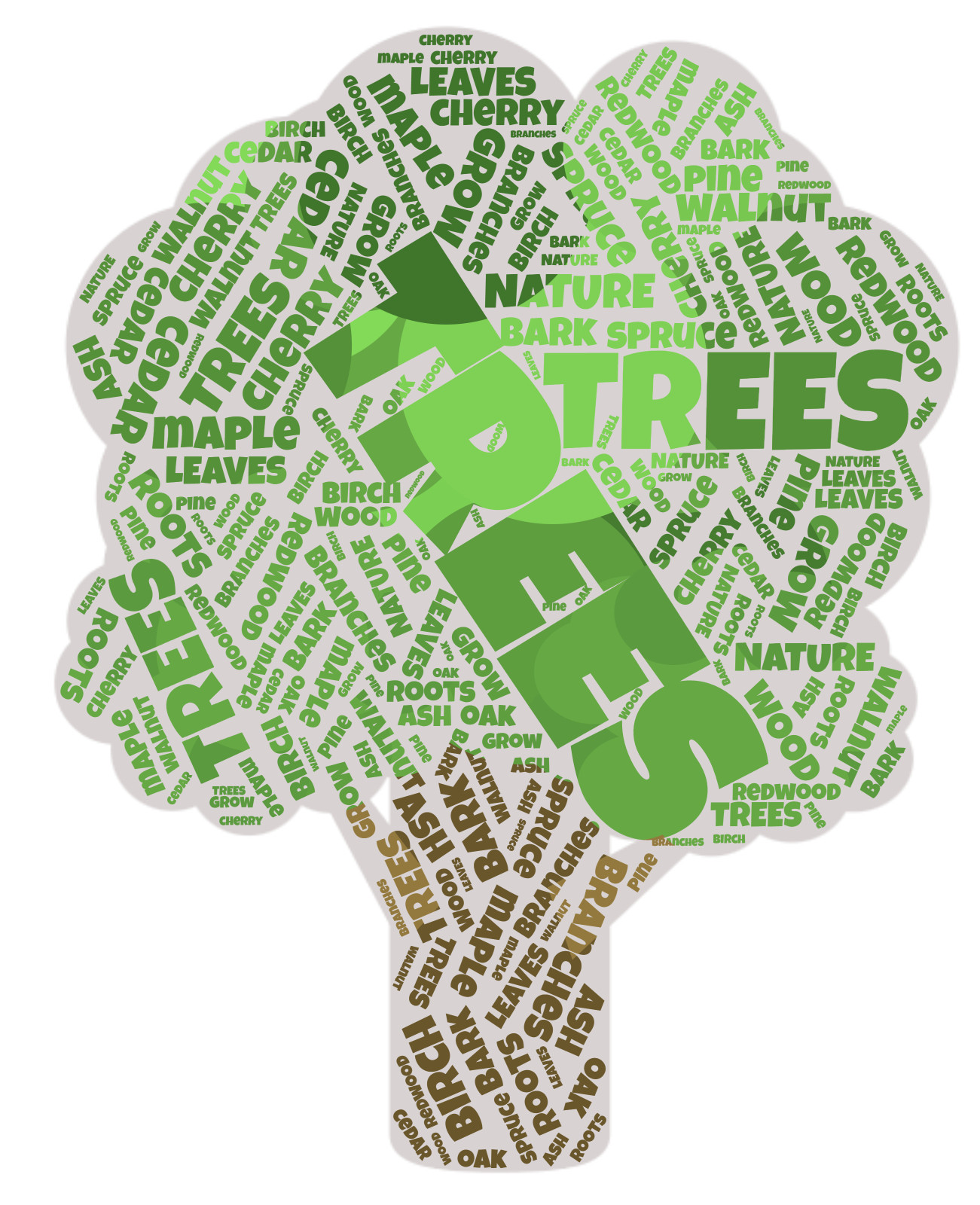 green_tree_word_cloud_800_wht_26501.jpg green_tree_word_cloud_800_wht_26501.jpg