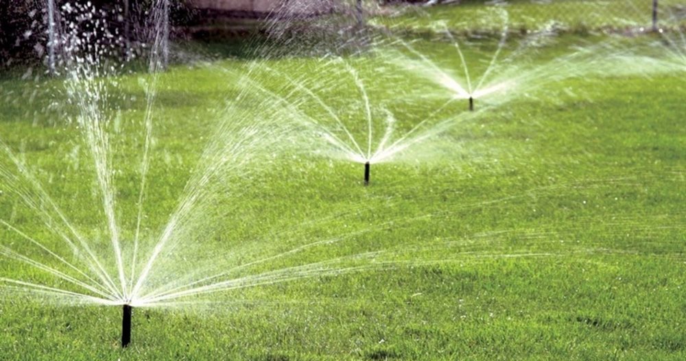 Watering Restrictions