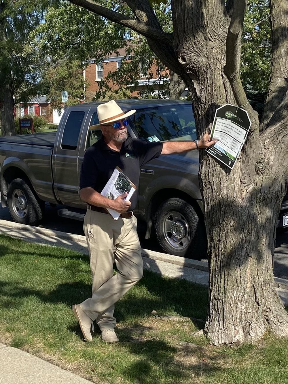 Tree Walk